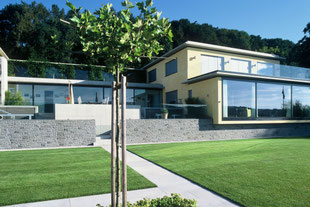 Steckborn, Thurgau, Moderner Neubau, Grosszügig, Mauer, Rasenfläche