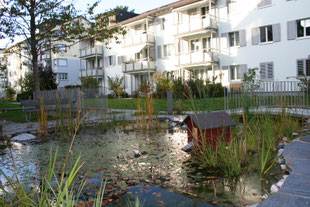 Gastronomie, Biergarten, Ausblick, am Wasser, Schatten, Bäume