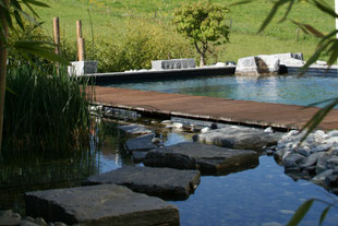 Schwimmtecih, Holzsteg über Wasser, Trittsteine im Wasser