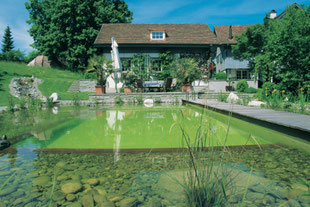 Bottighofen, Kreuzlingen, Thurgau, Schwimmteich, Wasserlauf, Holzsteg, Sitzplatz am Wasser