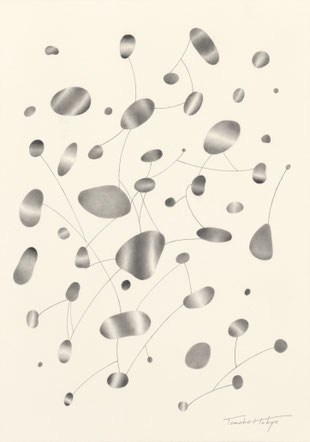 28「Drawing _Seeds」鉛筆、アルシュ紙　27 x 19cm　¥44,000（税込）