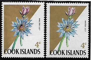Cook Islands Water Walter Lily Flowers