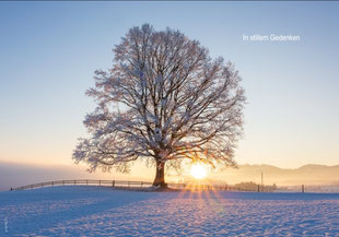 Trauerkarten, Trauerkarte, Beileidskarte, Gedenkkarte, Schweiz bestellen, A5, Trauerkarte Winter, Trauerkarte mit Baum. Trauerkarte Sonnenuntergang, Trauerkarte Sonnenaufgang, Trauerkarte mit Eiche