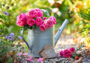Glückwunschkarten, Geburtstagskarten, Fotokarten, Schweiz bestellen, A5, Rosen, Geburtstagskarte mit Rosen, Herz