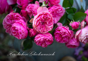 Glückwunschkarten, Geburtstagskarten, Fotokarten, Schweiz bestellen, A5, Rosen, Da Vinci Rosen, Geburtstagskarte mit Rosen