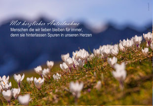 Trauerkarten, Trauerkarte, Beileidskarte, Gedenkkarte, Schweiz bestellen, A5, Bergblumen, Krokusse, Krokus, Entlebuch, Bergfrühling