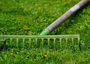 back pain tips while gardening