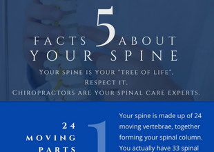 infographic-5-spine-facts