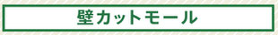 壁カットモール工事