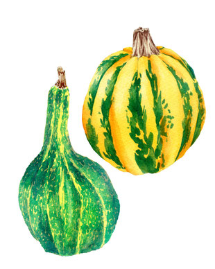 Herbst Aquarell, Blätter malen, Pilze mit Aquarellfarben malen, Wald Aquarell, Eicheln malen, Fliegenpilz malen, Natur mit Aquarellfarben, wie malt man mit Aquarellfarben, kostenloser Malkurs Aquarell, Illustration Berlin, Food Illustration Berlin