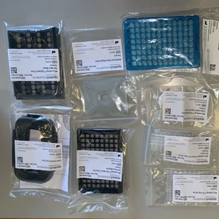 projet pour l'institut Pasteur