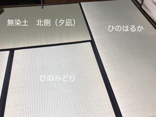 北側の無染土は染土付きと変わらない色に変化