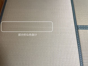 部分的な色抜けも徐々に目立たなくなってきた