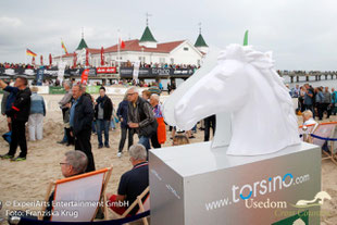 Die Torsinos lassen sich vielseitig einsetzen und waren auch bei der Schauschleppe an der Seebrücke Ahlbeck ein echter Eyecatcher. Foto: Franziska Krug