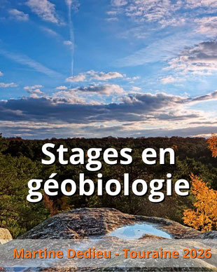 stage en geobiologie en touraine avec martine dedieu - via energetica annuaire des therapeutes