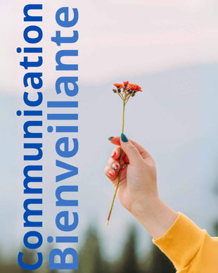 Formations tout au long de l'année en communication bienveillante, cnv, resolution de conflit a tours avec Séverine Bertho
