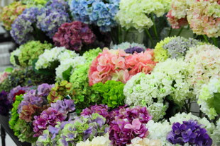 花材問屋ブロッサム 花材問屋blossom