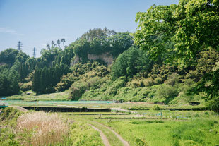 Wasserの森から望む田園風景