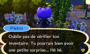 ACNL Halloween farce inventaire