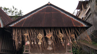 Decorated roof