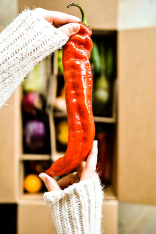 Lebensmittelverschwendung im Überblick: So viel Essen wird in Deutschland verschwendet und das kannst du dagegen tun. RiekesBlog