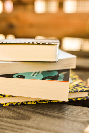 Gesellschaftskritische Buchempfehlungen RiekesBlog
