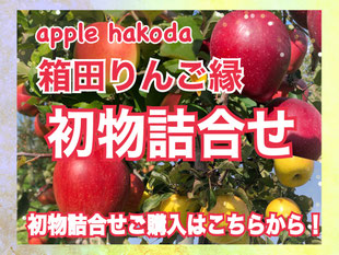 箱田りんご縁 おいしい青森りんご 産地直送通販 - apple hakoda 箱田りんご縁 おいしい青森りんご 産地直送通販 - apple hakoda