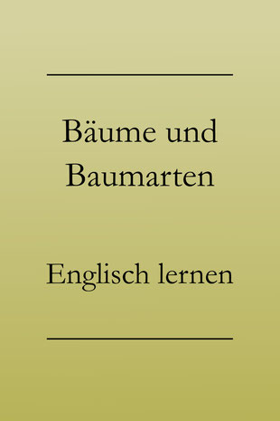 Englisch Vokabeln lernen: Bäume und Baumarten auf Englisch. Tanne, Buche, Fichte