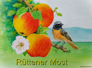Rüttener Most, Most aus Reinach, ungespritzt, ohne Chemikalien, gesunder Most, Apfelsaft Rüttenen, Landschaft essen, Hochstamm Apfelsaft, gesunde Lebensmittel, Birnen, Birnensaft