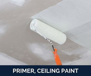 para paints - primer, ceiling paint