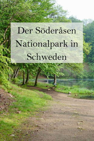 Söderåsen Nationalpark in Schweden