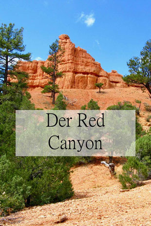 Der Red Canyon in den USA