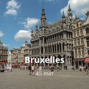 BXL Par Francisco Anzola — Grote Markt, CC BY 2.0, https://commons.wikimedia.org/w/index.php?curid=32182074