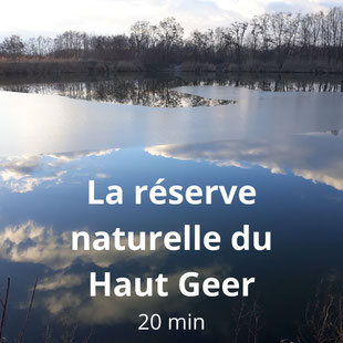 Activités autour de la Buissière-promenade ornithologique autour des étangs du Haut Geer.