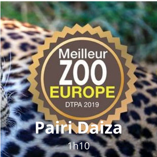 Activités autour de La Buissière-une journée mémorable à Pairi DaizaGoyet  La Buissière :Activité découverte avec les enfants