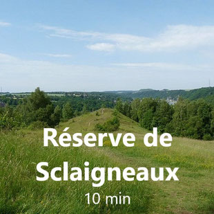 Activité autour de la Buissière-pour les randonneurs-promenade en famille dans la réserve naturelle de Sclaigneaux avec magnifique vue sur la vallée de la Meuse