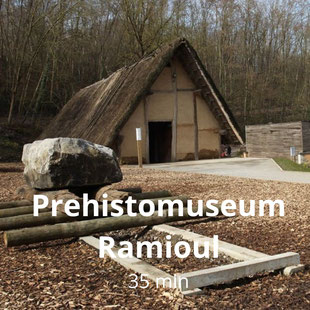(c) Prehistomuseum