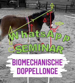 Whats App Seminar Biomechanische Doppellonge