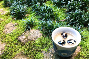 岐阜鮎  大垣ランチ 天然鮎 夫婦 食事 記念日 お祝い 誕生日 還暦 結婚記念日 お友達 女友達 焼きおにぎり 垂井 本巣 関ケ原 羽島 瑞穂市 安八 池田 揖斐川 海津 接待 助六 みよし亭 女子会 飛騨牛 美味しい 和食 人気 祝日 古希 喜寿 米寿 家族 空間 日本料理 両親 敬老の日 出汁 鰻 貸切 車いす 法要 美味しい 助六 西京焼き 鮭 みよし亭 お取り寄せ 大垣通販 時短 冷凍食品 記念日 簡単 惣菜 西京焼き 持ち帰り 大垣プリン 大垣ディナー 