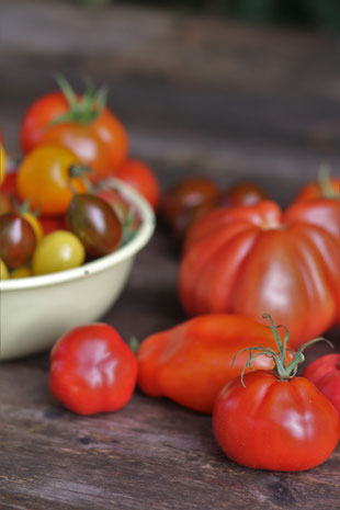 Tomaten aus dem Garten