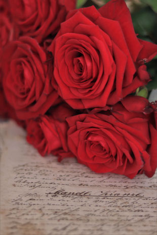 rote Rosen