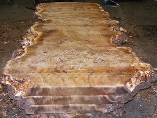 Poplar Burl, Mappa, Table top with live edge