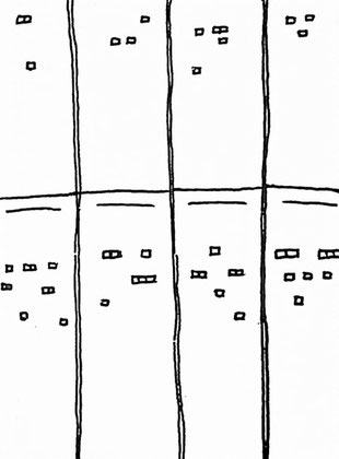 Abb. 36: Juniperoxylon sp.