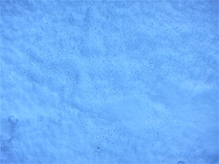錆びない・環境に優しい・すぐ効く・長く効く「雪解け一番手」と尿素との効果比較写真