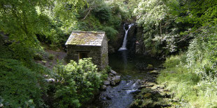 Holzhaus im Wald an Gewässer