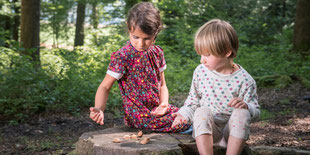 Schule im Wald