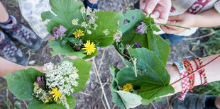 Schüler Blumen