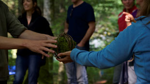 Kurse in der Natur