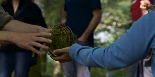 Gemeinsam in der Natur