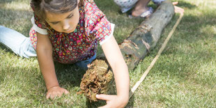 Bild: Kinder lernen am Bach